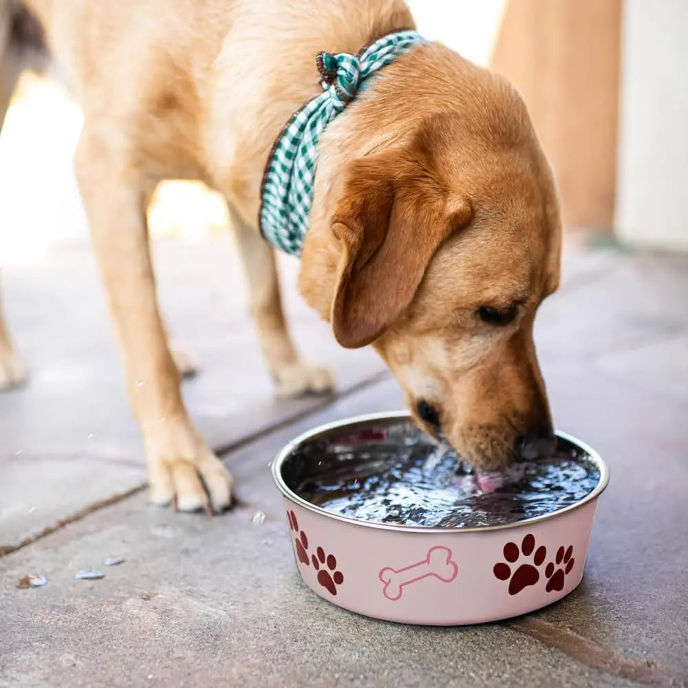 Pink-Dog Bowl - Safe Paws