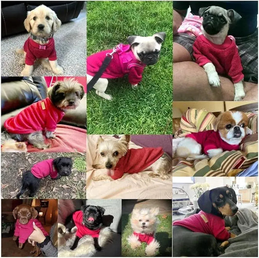 Pet Classic Knitwear - Safe Paws