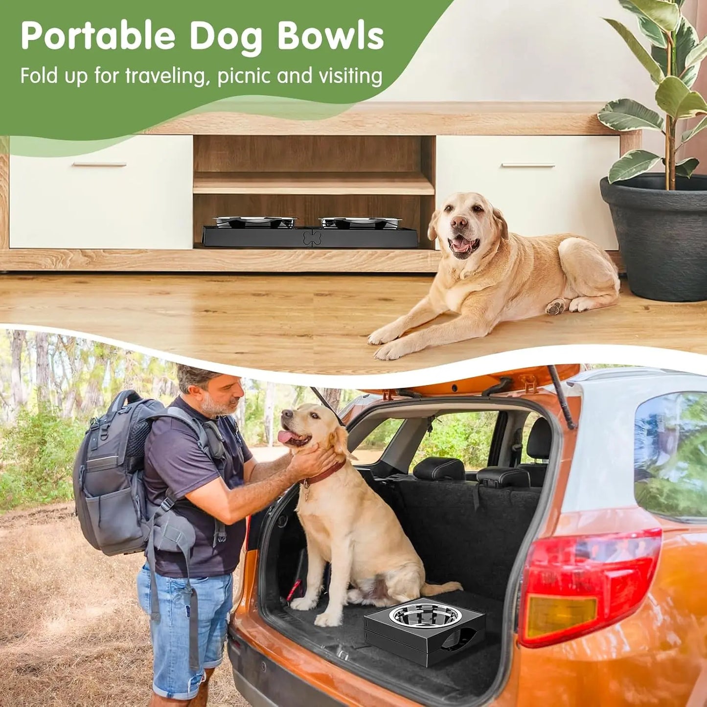 Elevated Dog Bowls - Safe Paws