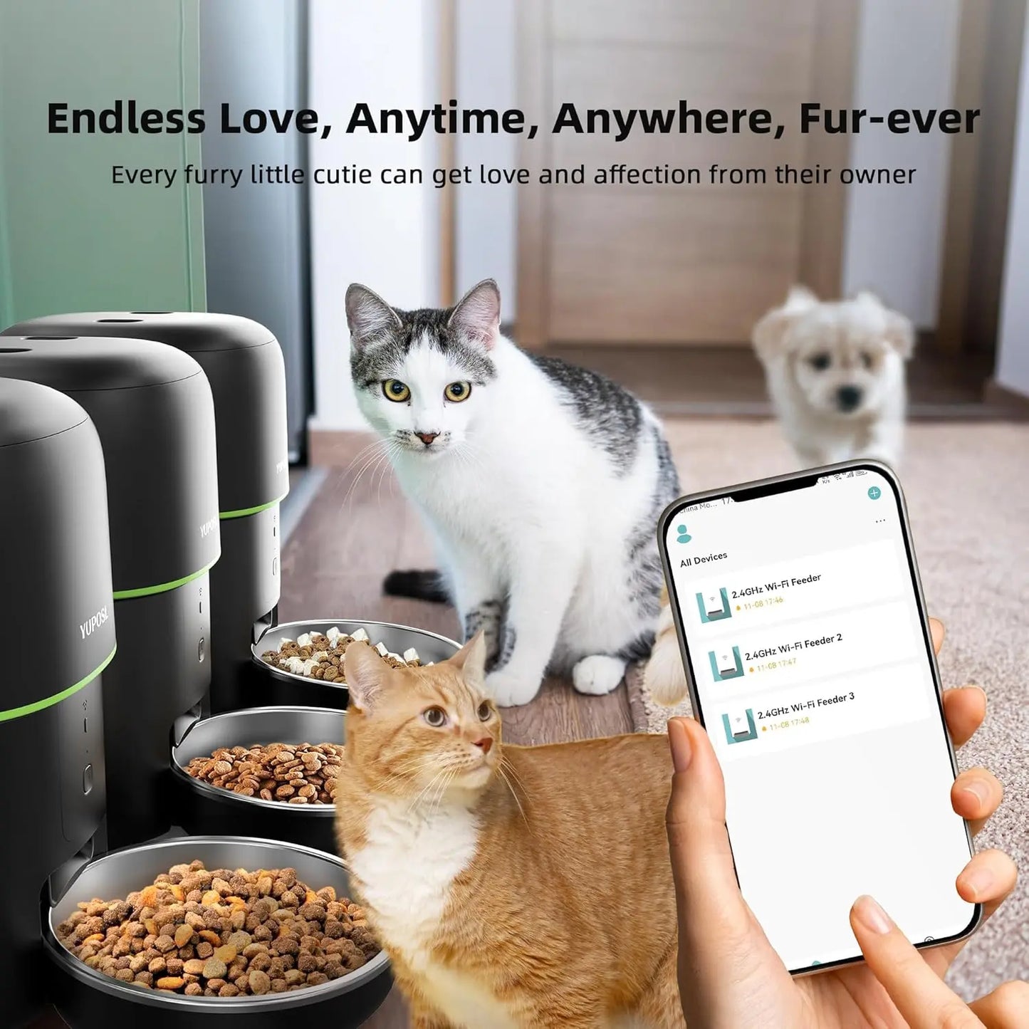 Automatic Cat Feeder - Safe Paws