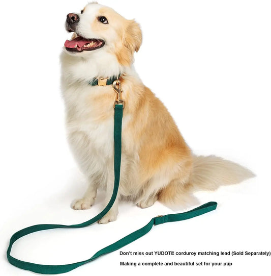 Soft Dog Collar - Safe Paws