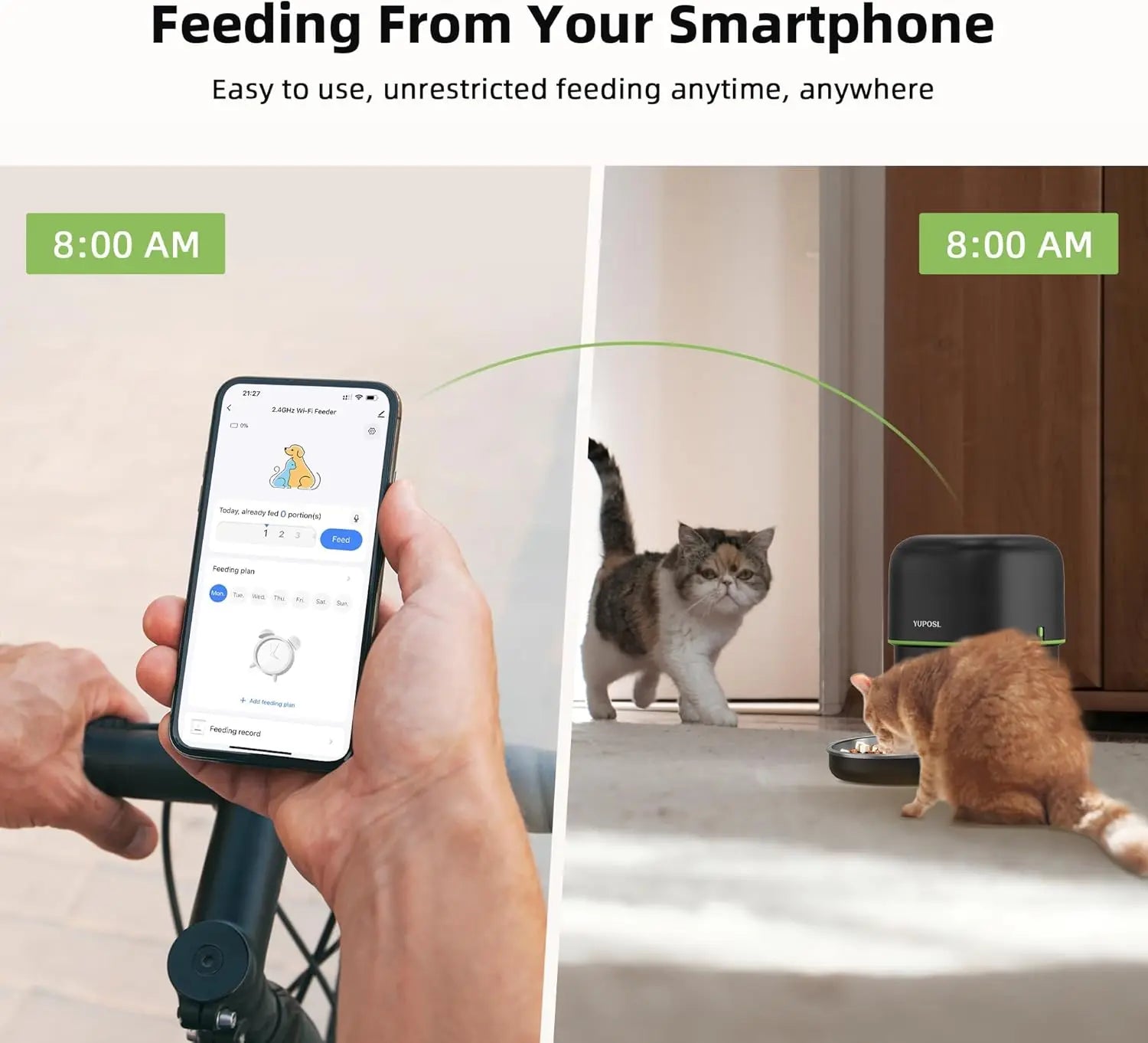 Automatic Cat Feeder - Safe Paws