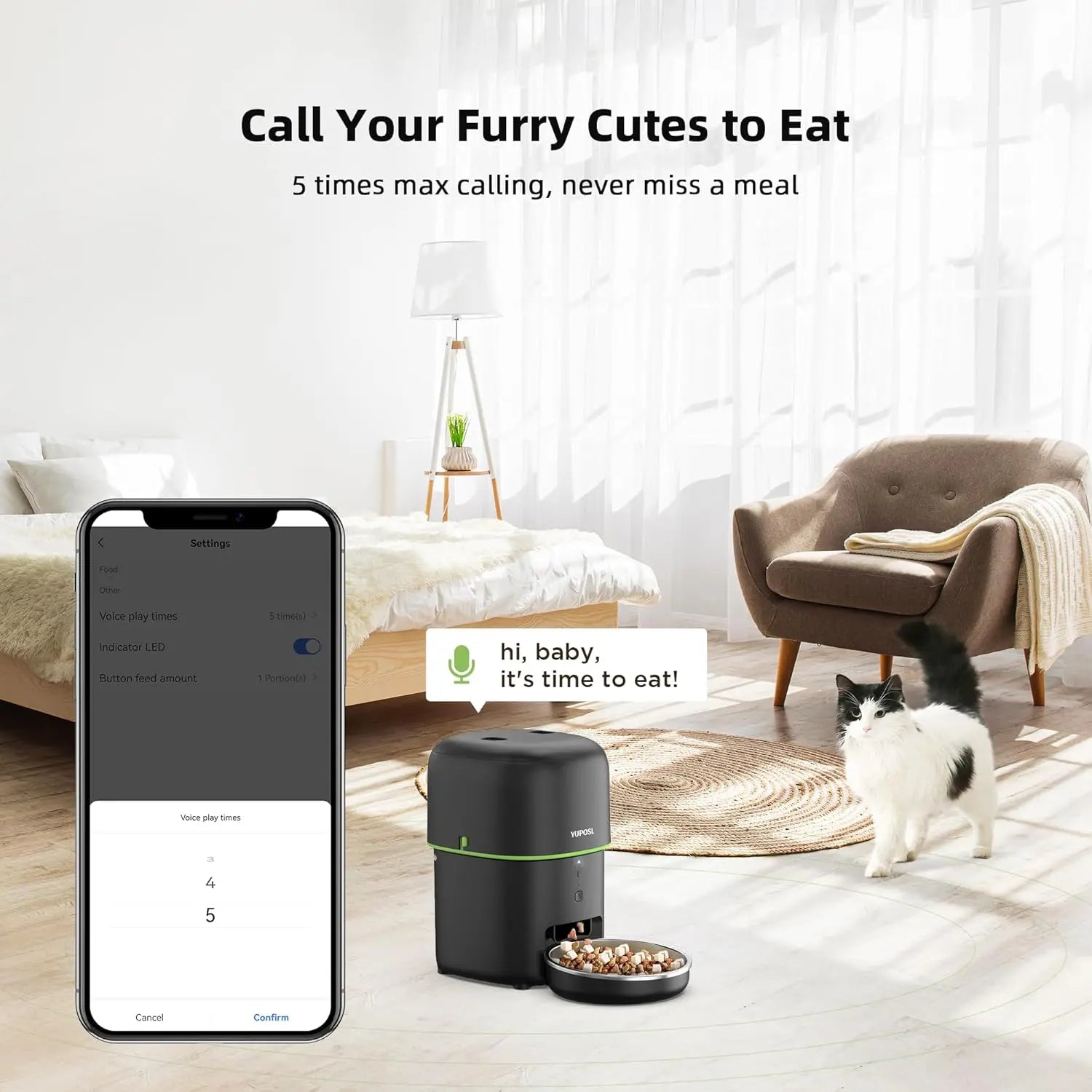 Automatic Cat Feeder - Safe Paws